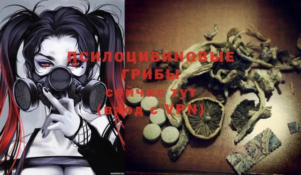 ешки Алексеевка