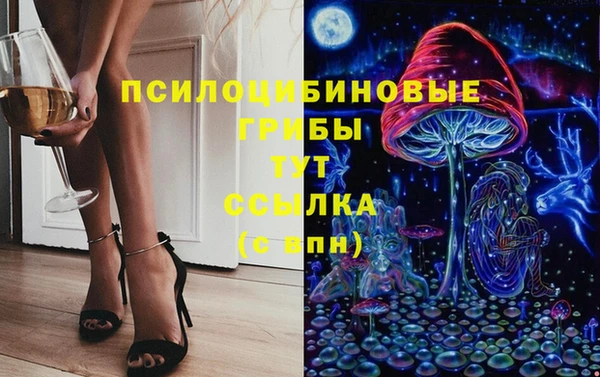 герыч Алзамай