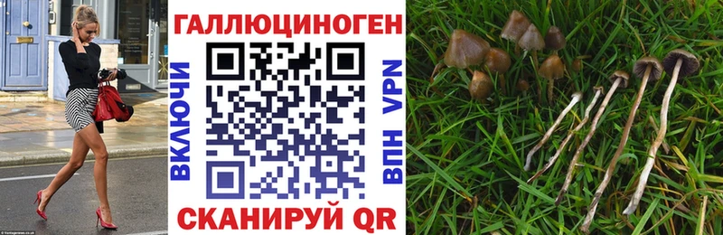 МЕГА ссылка  Липки  Псилоцибиновые грибы Magic Shrooms  купить закладку 